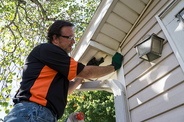 Shed Removal in Manhattan, IL